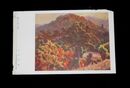九里四郎　春日山の秋　第14回二科美術展覧会（絵葉書）1枚