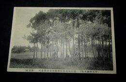 習志野練兵場　陸軍中央幼年学校生徒演習実況（絵葉書）1枚