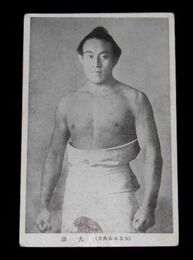 相撲　大日本大角力　大浪（絵葉書）1枚