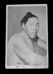 相撲　大日本大角力　出羽ヶ嶽（絵葉書）1枚