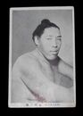 相撲　大日本大角力　出羽ヶ嶽（絵葉書）1枚