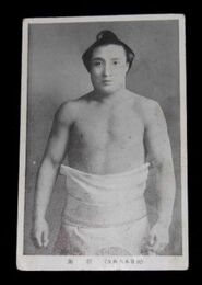相撲　大日本大角力　新海（絵葉書）1枚