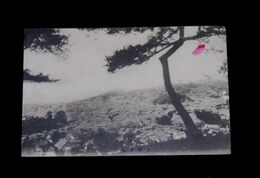 山口　下関市全景（絵葉書）1枚