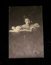 美人　少女の読書（絵葉書）1枚