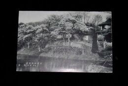 福島　白河小南湖畔　割烹旅館角金（絵葉書）1枚