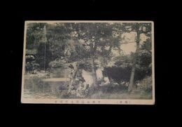 秋田　千秋公園湖月畔噴水（絵葉書）1枚