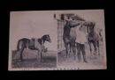 陸軍　愛馬及乗馬者鞭を拾う（絵葉書）1枚