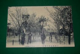 熊本　下河原公園の桜花（絵葉書）1枚