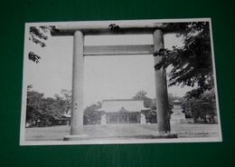 熊本　藤崎台招魂社　鳥居（絵葉書）1枚