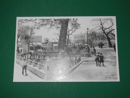 熊本　花畑公園（絵葉書）1枚