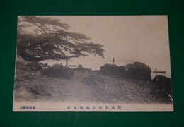 豊後別府　仏崎鶴の松（絵葉書）1枚