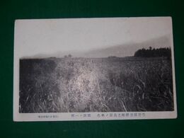 豊後　豊肥線荻駅附近高原ノ秋色　開田ノ一部（絵葉書）1枚