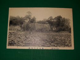 松江　亀田山千鳥城（絵葉書）1枚