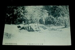 房州　鋸山自然亀石（絵葉書）1枚