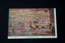 木下克巳　夏の夜　第4回文部省美術展覧会（絵葉書）1枚