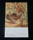 伊藤四郎　七面鳥と仙人掌　第5回文部省美術展覧会（絵葉書）1枚