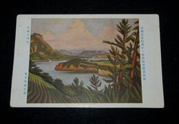 古屋浩蔵　草花ある静物　帝國美術院第8回美術展覧会（絵葉書）1枚