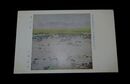 八田高容　霽れま　帝國美術院第13回美術展覧会（絵葉書）1枚