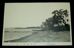 別府　亀川海岸ノ景（絵葉書）1枚