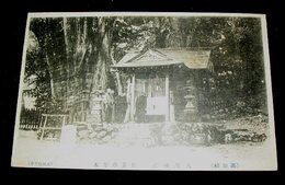 高知　八坂神社　紅葉の寄木（絵葉書）1枚