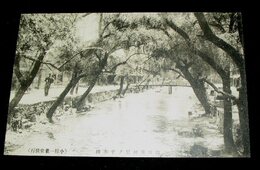 山口　後河原ノ千本桜（絵葉書）1枚