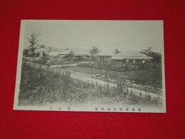 豊後新別府温泉場　養気泉（絵葉書）1枚