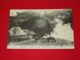 豊後血の池地獄　馬（絵葉書）1枚