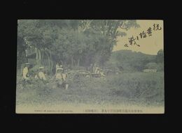 佐世保海兵団陸戦隊演習の光景（絵葉書）1枚