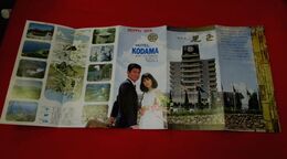 別府温泉　ホテル児玉