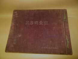 東台湾展望（写真帖）台東庁　花蓮港庁　折込管内図入　商店案内