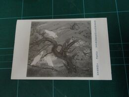 今村廣齢　白鷺老松　帝國美術院第7回美術展覧会（絵葉書）1枚