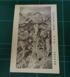 阿部春峰　唐玉蜀　帝國美術院第2回美術展覧会（絵葉書）1枚