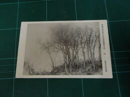 尾竹竹坡　峠　帝國美術院第7回美術展覧会（絵葉書）1枚