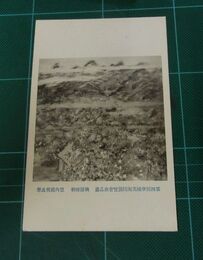 登内微笑　桃園睡朝　帝國美術院第4回美術展覧会（絵葉書）1枚