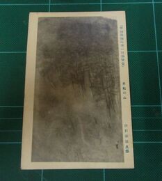 山口華揚　赤松の山　帝國美術院第2回美術展覧会（絵葉書）1枚