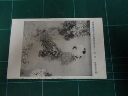 加藤英舟　花市　帝國美術院第7回美術展覧会（絵葉書）1枚