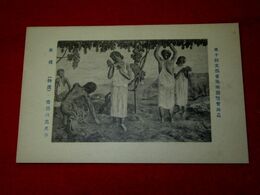 齋藤與里　収穫　第10回文部省美術展覧会（絵葉書）1枚