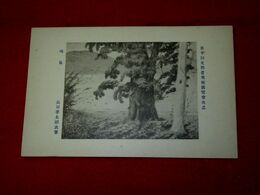 長原孝太郎　晴嵐　第10回文部省美術展覧会（絵葉書）1枚