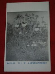 長山はく　園の花　帝國美術院第5回美術展覧会（絵葉書）1枚