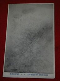 梅崎朱雀　けし　帝國美術院第5回美術展覧会（絵葉書）1枚