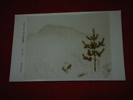 酒井三郎　山の春　多聞洞東西大家新作画家展覧（絵葉書）1枚