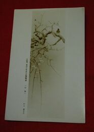 杉山寧　白梅　多聞洞東西大家新作画家展覧（絵葉書）1枚
