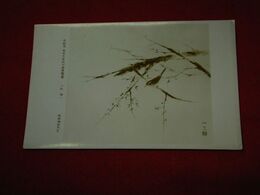 徳岡神泉　紅梅　多聞洞東西大家新作画家展覧（絵葉書）1枚