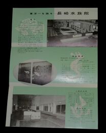 長崎水族館　25.5×18.5㎝