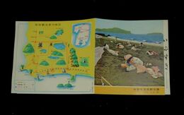 いぶすき　熱帯植物と温泉のくに