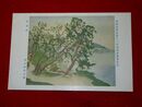 徳田隣斎　倉澤路　帝國美術院第12回美術展覧会（絵葉書）1枚