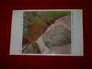 八田高容　鳥鳴山更幽　帝國美術院第12回美術展覧会（絵葉書）1枚
