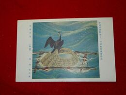 森白甫　海辺所見　帝國美術院第12回美術展覧会（絵葉書）1枚