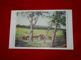 河合新蔵　放牧　帝國美術院第12回美術展覧会（絵葉書）1枚