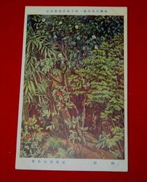 高間惣七　幽林　第1回帝國美術院展覧会（絵葉書）1枚